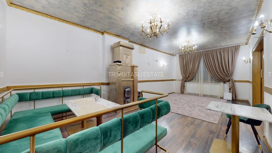 Spatiu comercial cu teren Arcul de Triumf - 12