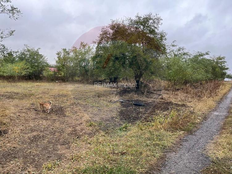 Teren intravilan 1700 mp, de vanzare, A2, Sarulesti, Polcesti - 6