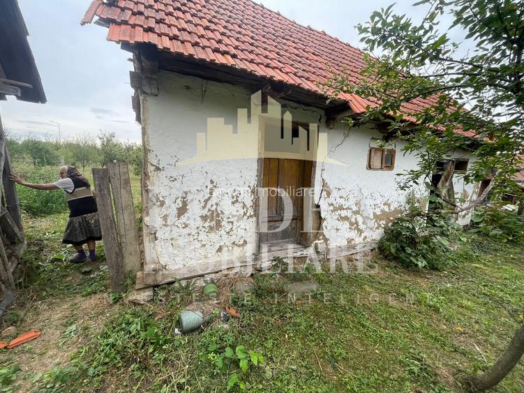 Casa Babsa, comuna Balint 2084mp teren - 8