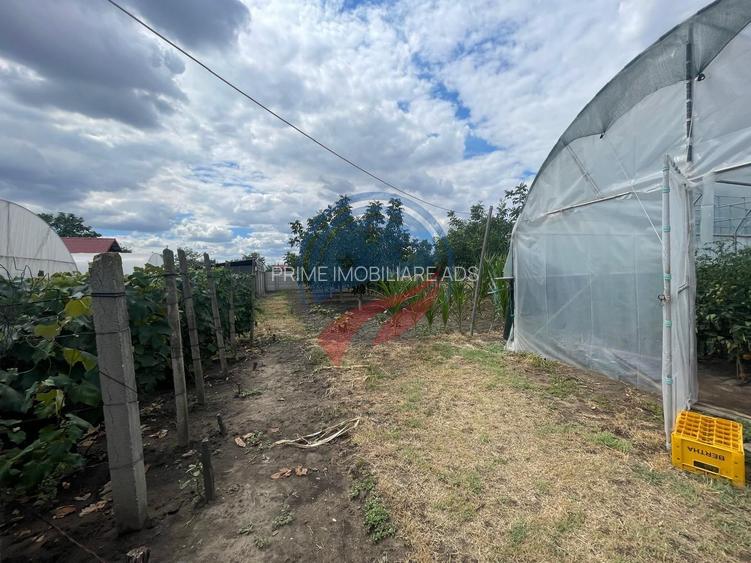 Casa in localitatea Zanoaga- Dolj - 5