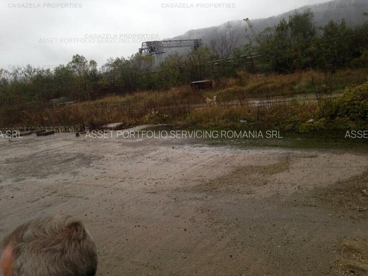 Teren 13.224,41 mp Vetel - 3