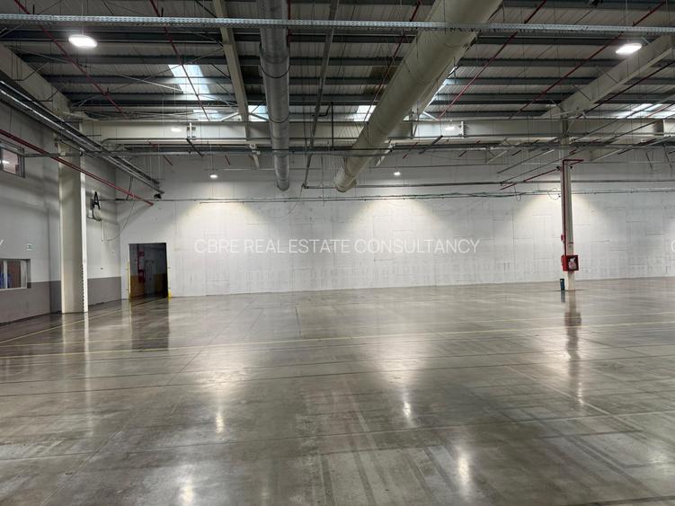 Închiriere Platformă Industrială Majoră în Ineu - 8