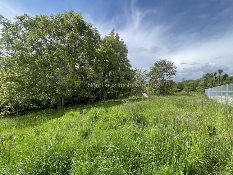 Teren Intravilan 1340mp - Cisnadioara - Sibiu - 5