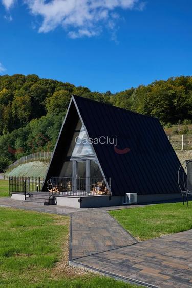 Afacere de vanzare, 2 cabane+sala de evenimente, Apuseni! - 6