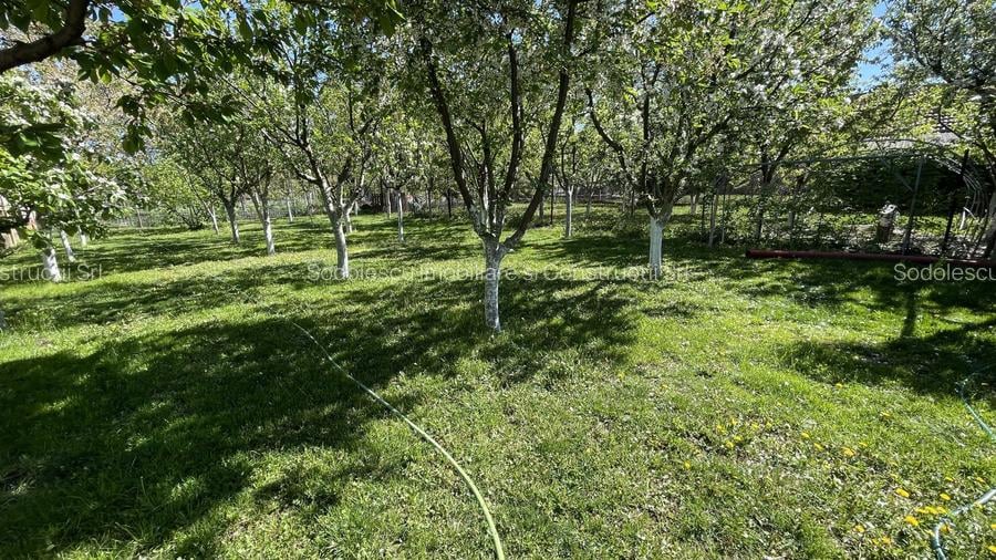 Casa cu teren frumos si garaj zona Mehala - 22