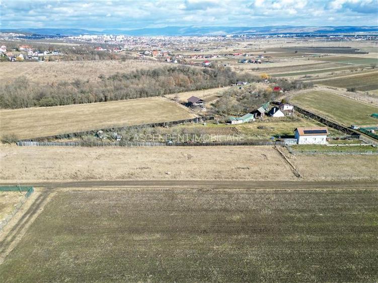 FILM! Liniste si aer curat in proximitatea Municipiului Sfantu Gheorghe - 7