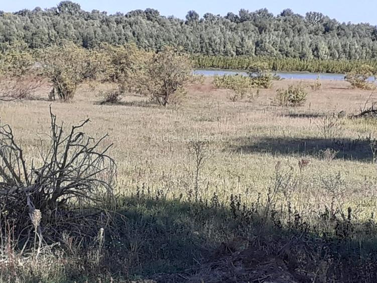 OCAZIE : INTRAVILAN com. MURIGHIOL - 19 euro/m.p. Deschidere Dunare  74 m. - 7