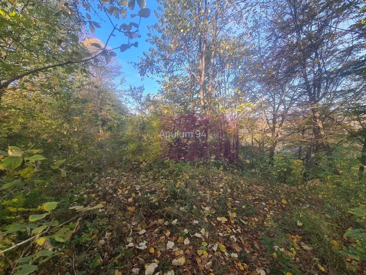 Teren intravilan de vanzare in Telega - 6