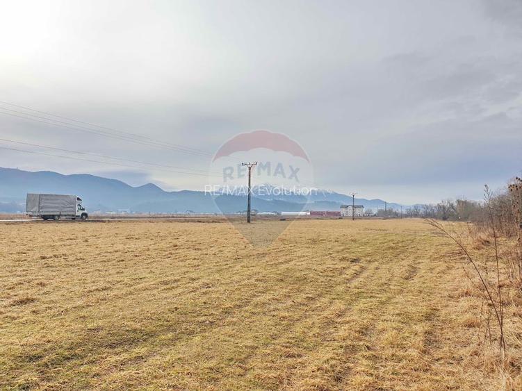 Teren 11600 mp, front la DN73B, Cristian - 9