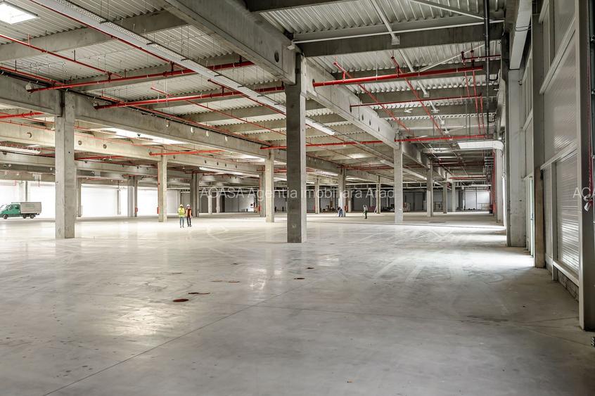 Închiriere spații industriale în Industria Park Arad - 6