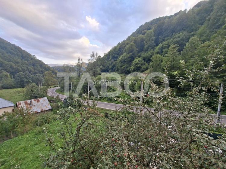 Spatiu de vanzare in Valea Macesului judel Valcea iesire la Lotru - 42