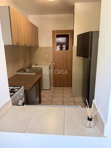 Apartament cu 1 cameră, etajul 1/4, zona Canta - 3