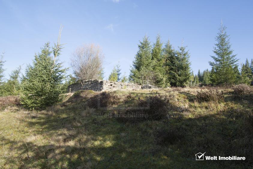 Se vinde teren cat un munte in Apuseni - Poiana Horea - 6