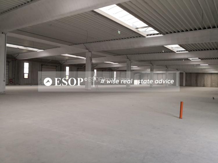 Hale industriale, parc modern, Rudeni, Chitila, Ilfov- ID 15462 - 13