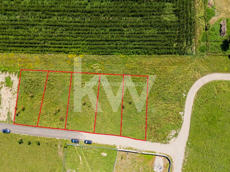 Teren pretabil constructie rezidentiala – Sanpetru - 2