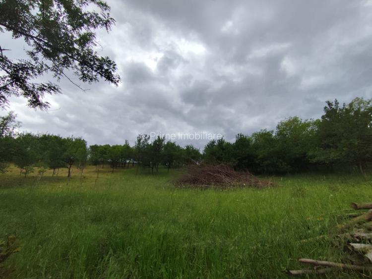 Teren intravilan de 1.900 mp, zona Oarda de Sus - 2