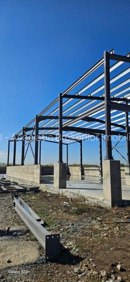 De vanzare | 6 hale x 600 mp | Afumati - 8