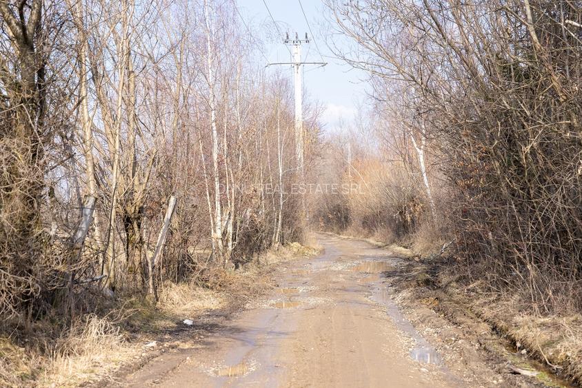 Bran Sohodol, 5967mp+teren bonus, intravilan constructii  P+E+M, comision0% - 11