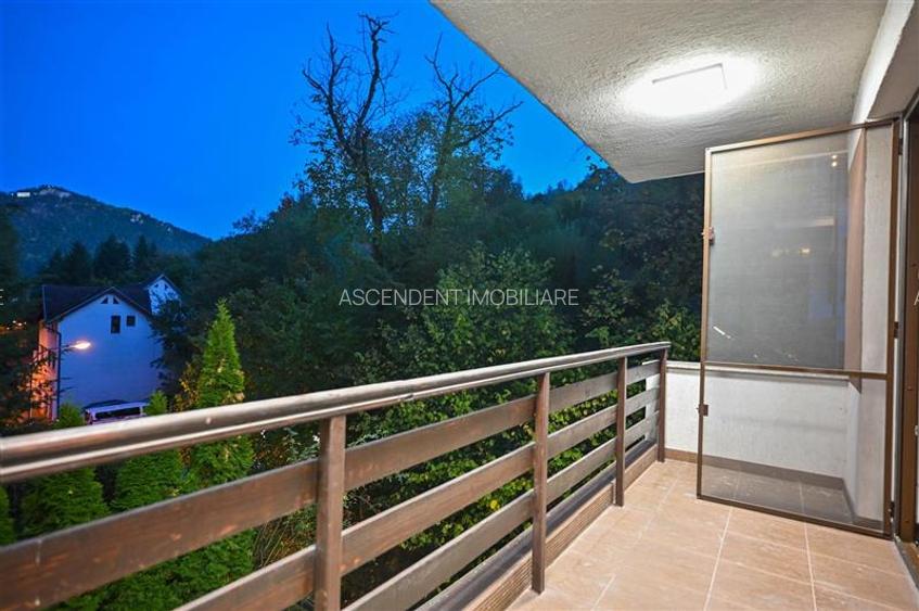 FILM&3D! Resedinta notabila, in pretiosul areal:Drumul Poienii,Centru Istoric Me - 42