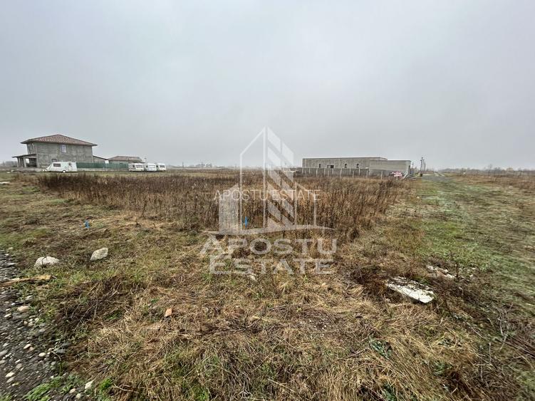 Teren 530  mp, de vanzare,  zona de case noi, zona PUZ Cosma, Sacalaz. - 2