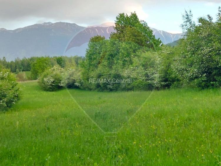 Teren Bran-Zarnesti - Tohanita, 4223mp - 8