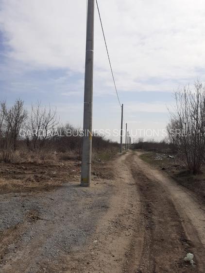 Glina - strada Ilfov, 2000 mp , d = 11 m - 5