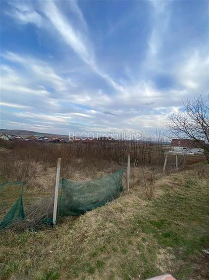 RECO Teren intravilan Biharia - 2