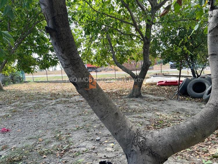 Teren + casa zona Tabarasti-Galbinasi. COMISION 0 LA CUMPARATOR - 10