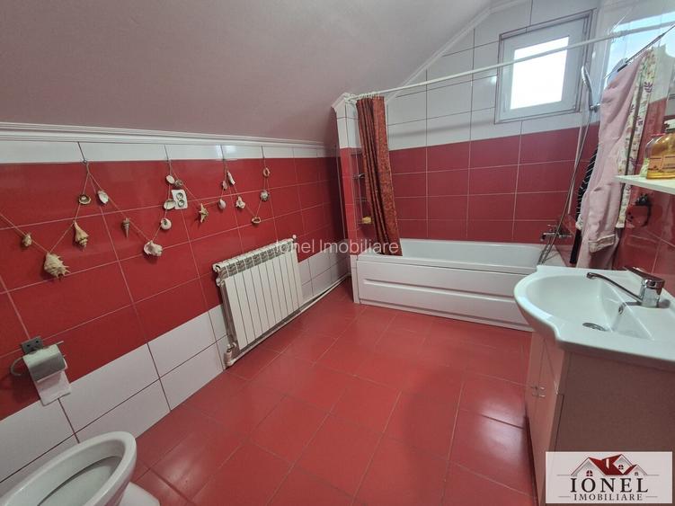 Casa de vanzare in Vintu de Jos - 7