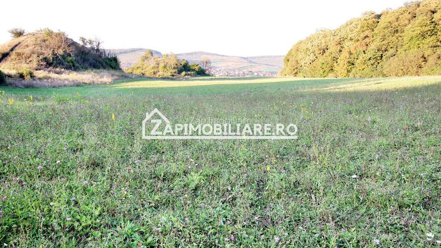 De vanzare 2 terenuri de 29.500 mp si 1.400 mp.29 euro mp - 10