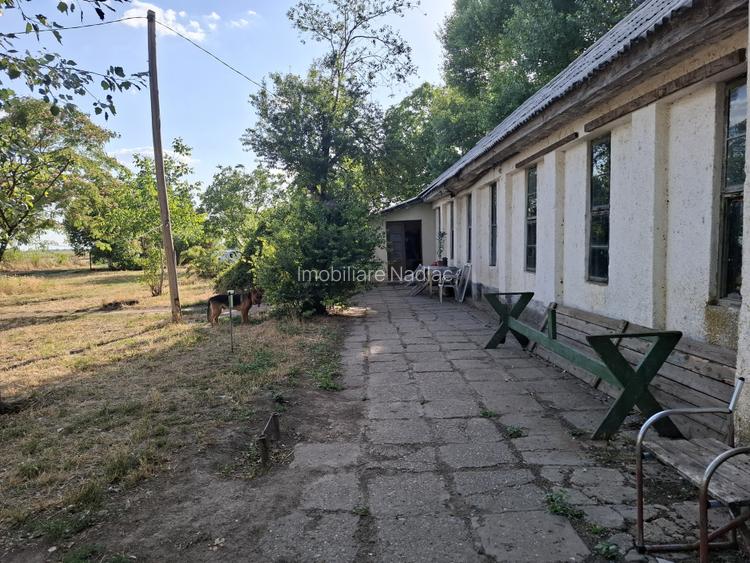 Ferma cu teren agricol de vanzare in Nadlac - 15