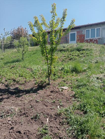 Casă tip studio de închiriat – Șura Mare | 36 mp | Priveliste superbă - 2