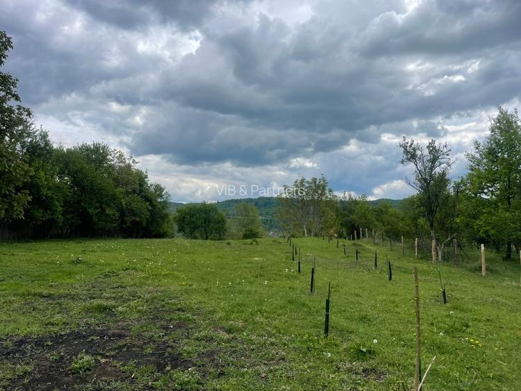 Mihaesti - Sat Draghici, teren intravilan, cu o suprafață generoasă de 7.280 mp - 4