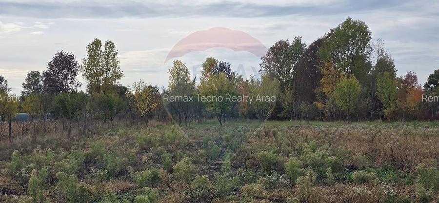 Teren generos cu potential în comuna Silindia, judetul Arad - 6