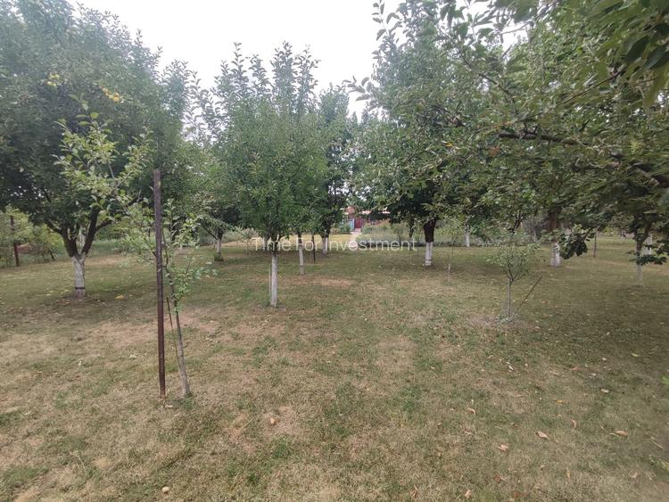 Sanadrei, Casa individuala, Suprafata teren generos, Garaj, terase si anexe - 3