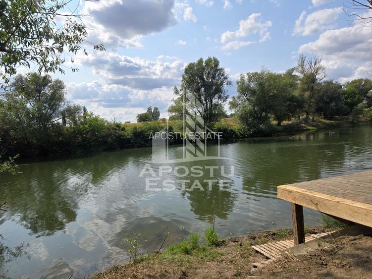 Casa de vanzare, potential pensiune, pe malul Timisului,Sag,comision 0 - 2