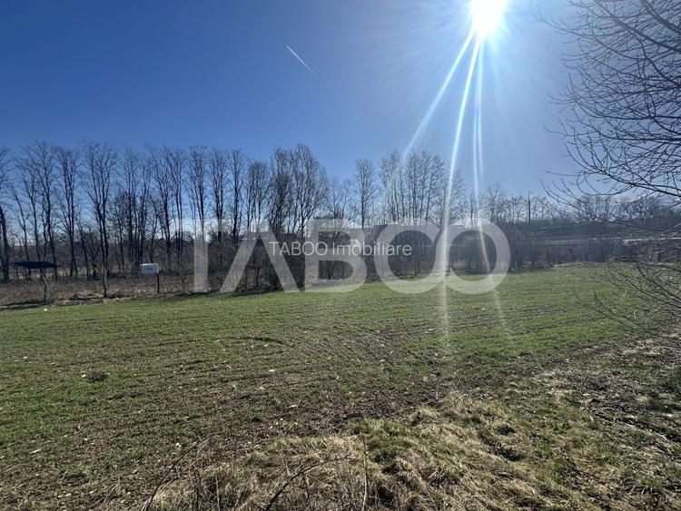 Teren intravilan 2000 mp cu utilitati in apropiere Comuna Dragus - 2