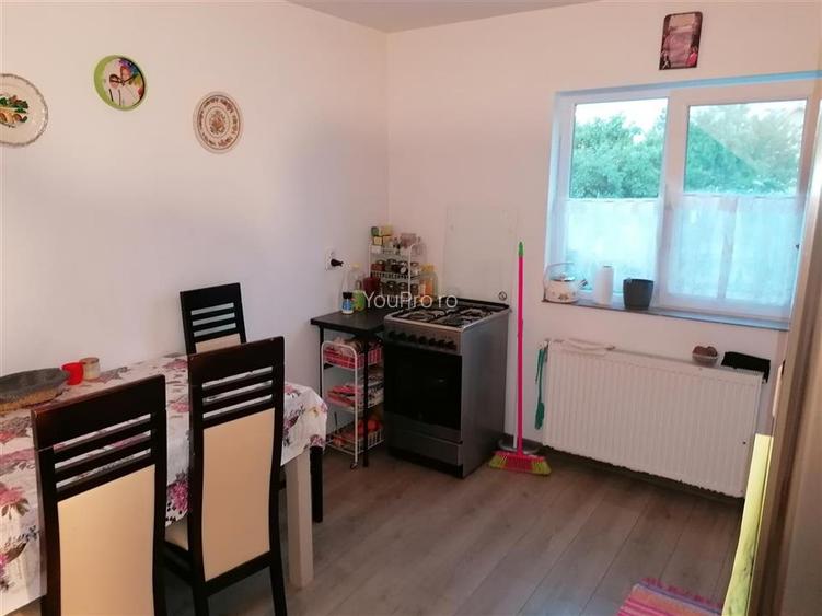 Vila Individuala Sinmihaiul Roman - 18