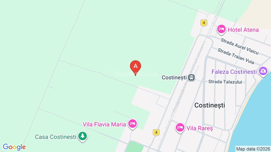 VÂND TEREN INTRAVILAN ÎN COSTINEȘTI  - 2