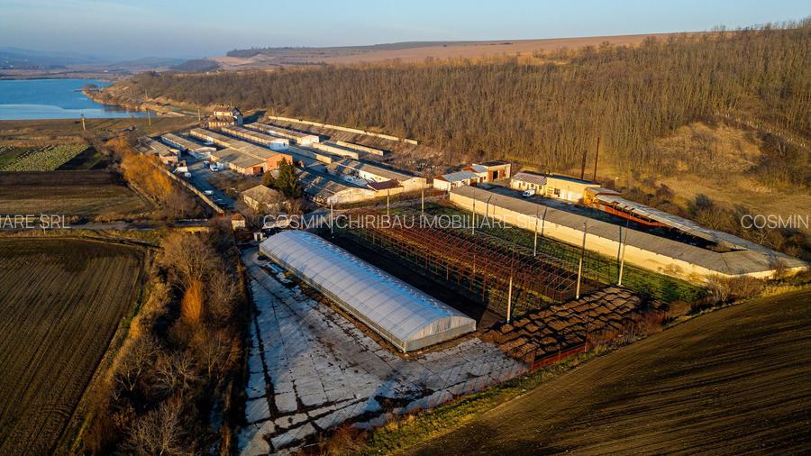 Fosta Ferma a Partidului de la Horgesti - de vanzare - 19