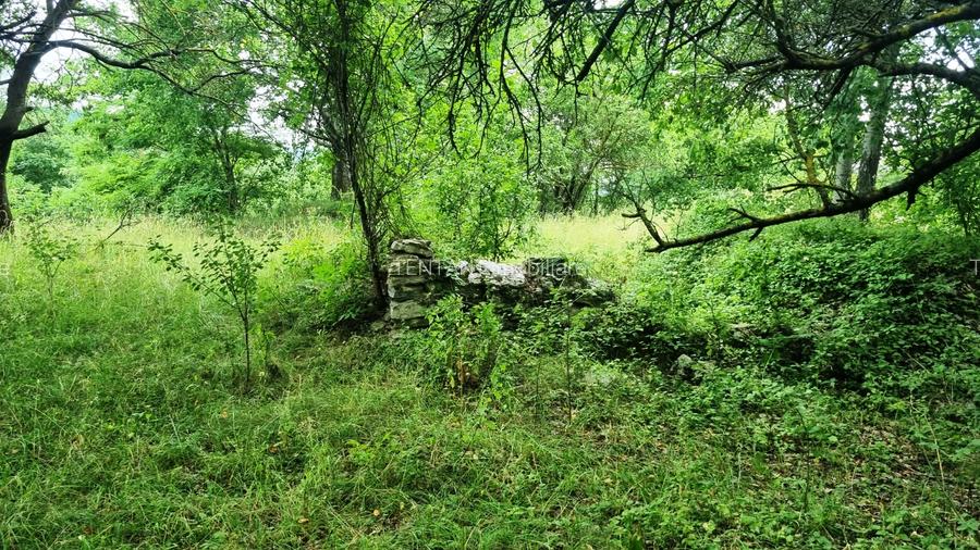 Vanzare Teren  construibil 5700mp Campul Lung Muscel - 9