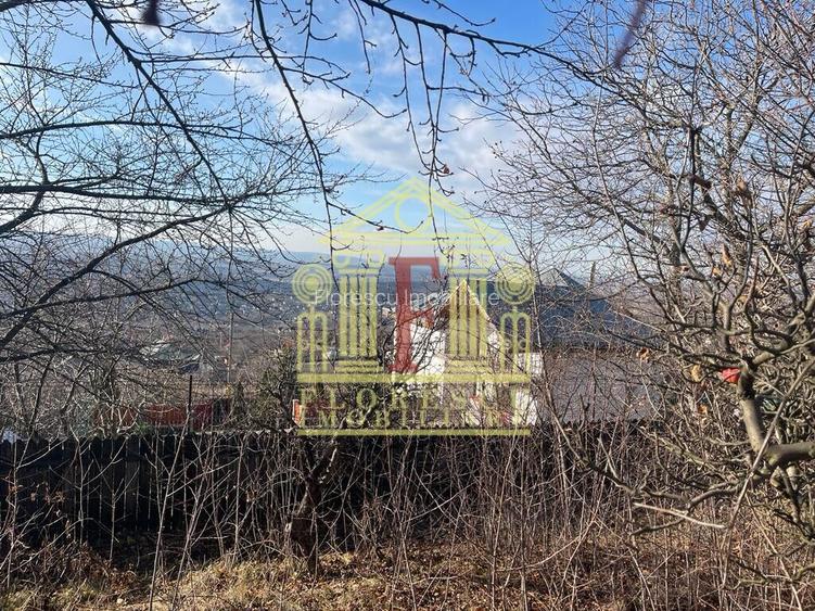 Teren Barnova  ! - 6