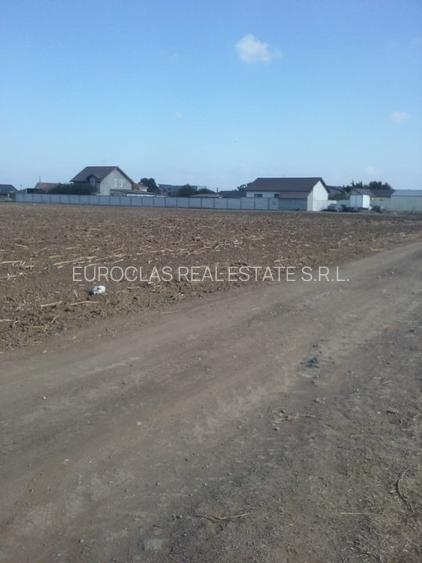 Exclusiv! Teren intravilan 6.100 mp - Cumpana - 29 euro/mp  (Cod E3) - 2