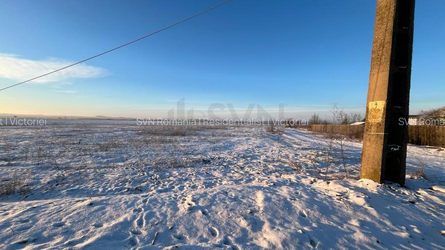 REL4001268 Teren extravilan padure 6000 euro vizavi Insula Crabilor - 3