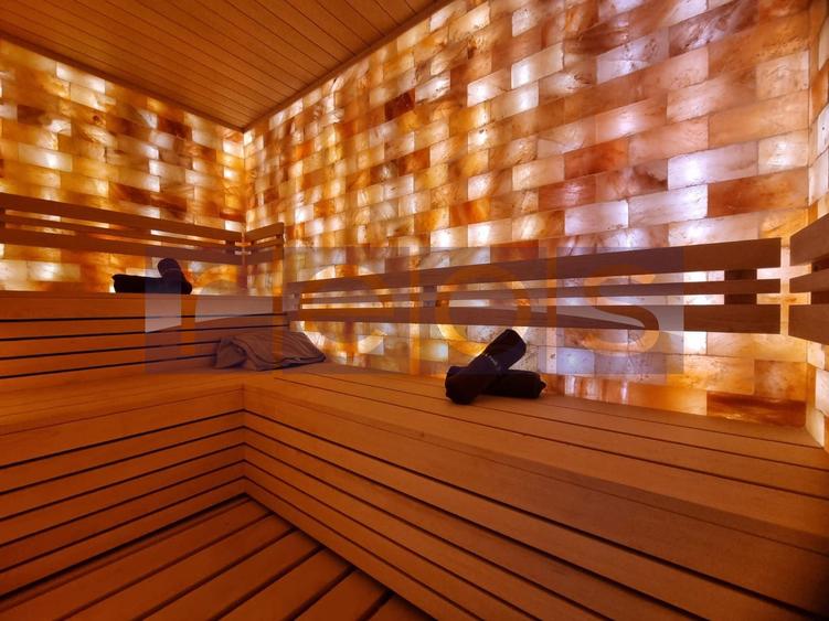 INCHIRIERE -2 VILE -ZONA MOGOSOAIA - 24