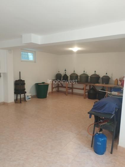 Vand casa cu 5 camere in Platoul Cornesti - 10