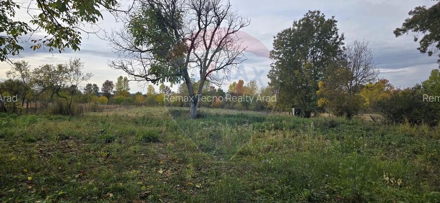 Teren generos cu potential în comuna Silindia, judetul Arad - 10