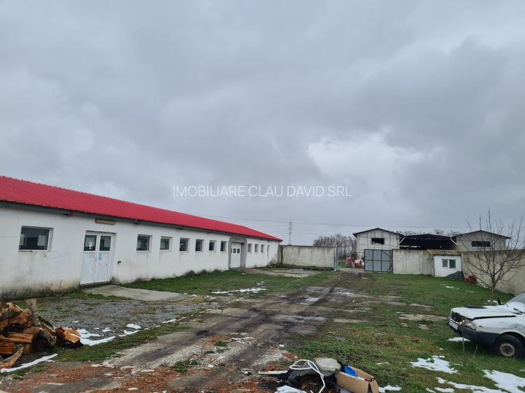 Oportunitate Unica: Teren Intravilan cu Hală de productie și Casă Modernă - 3
