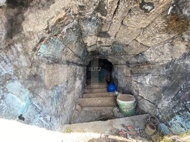 Casa batraneasca cu 6000 mp teren Schitul Duca - 4