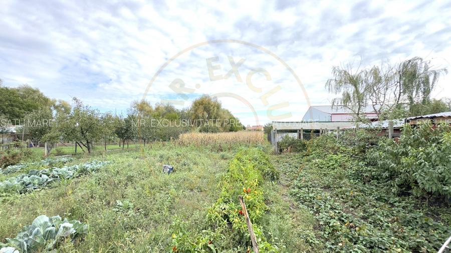 Casă 3 camere, Teren 3.263 mp, Str.Mărășești Nr.16 -Carei-Comision 0% cumpărător - 11